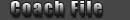 playerfile
