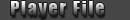 playerfile